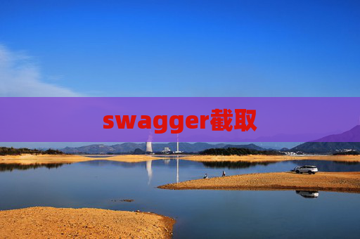 swagger截取